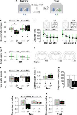 On the effect of hippocampal c-Jun N-terminal kinase inhibition on object recognition memory